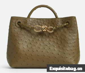 Bottega Veneta Small Andiamo 805231 Mud