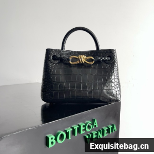 Bottega Veneta Mini Andiamo alligator leather 805232 black Bottega Veneta Mini Andiamo alligator leather 805232 black