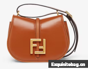 Fendi Cmon Mini leather bag 8BS082 Brown