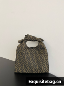 Fendi FF jacquard fabric bag F3676 brown
