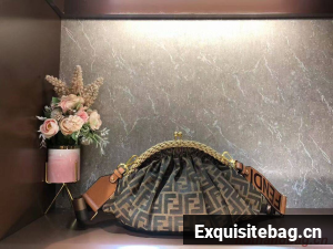 FENDI fabric bag F7641 brown