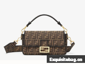Fendi BAGUETTE Brown fabric bag 8BR600A6