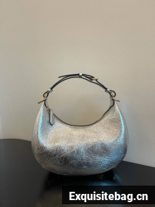 Fendi Praphy Original Leather Big Logo Bag 80056M Silver