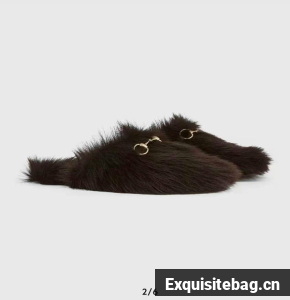 Gucci Shoes GUS00894