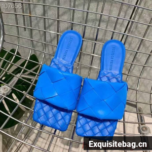 Bottega Veneta BV207HSC-4