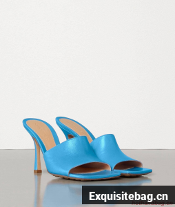 Bottega Veneta Shoes BV2048 Blue