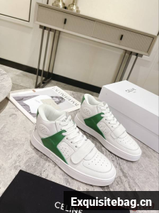 Celine Shoes Couple CES00056