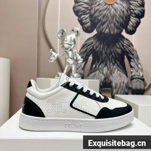 Celine Shoes Couple CES00071