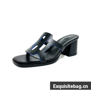 Hermes Shoes WOMENS SANDAL heel height 6CM 36603-3