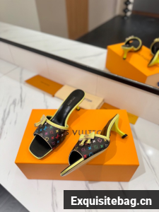 Louis Vuitton Slippers 45001-9