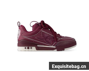 Louis Vuitton Trainer Sneaker 45107-5