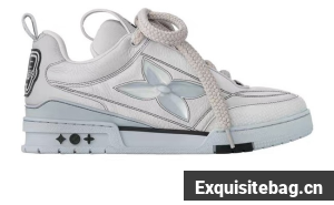 Louis Vuitton Trainer Sneaker 45107-6