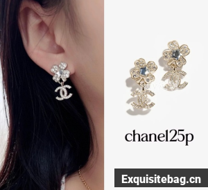 Chanel Earrings CE80988