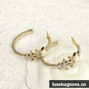 Chanel Earring CE16923